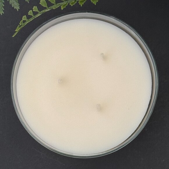 BBW Blueberry Sugar Bath & Body Works 3 Wick Candle - Picture 7 of 10